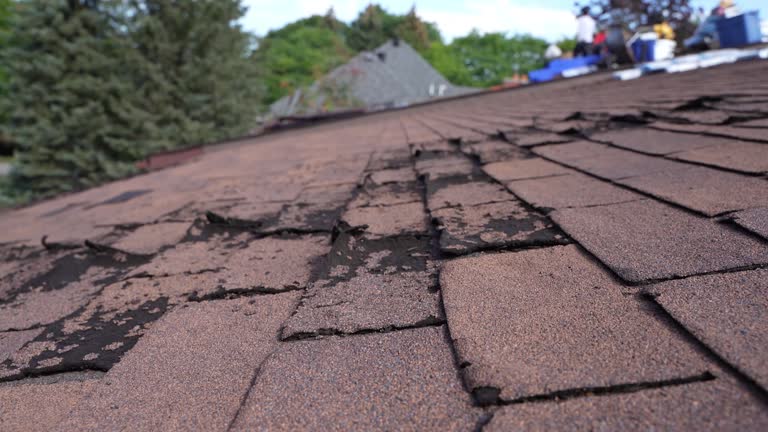 Best Asphalt Shingles Roofing  in Woodville, FL