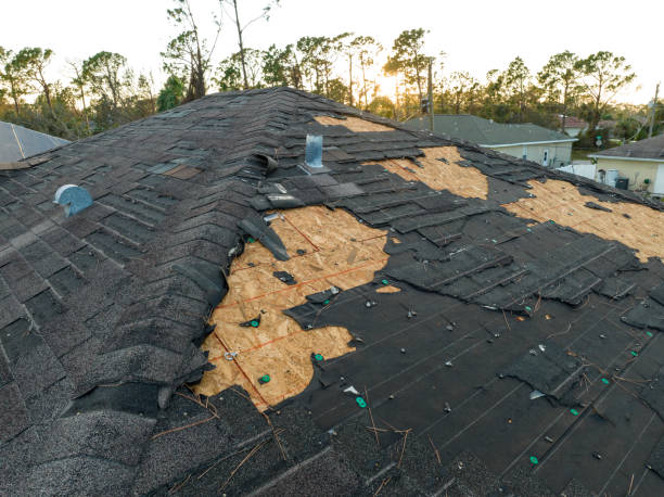  Woodville, FL Roofing Service Pros