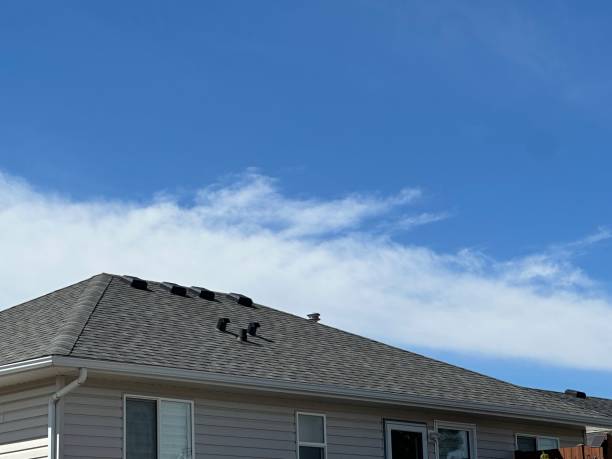 Professional Roofing Service in Woodville, FL
